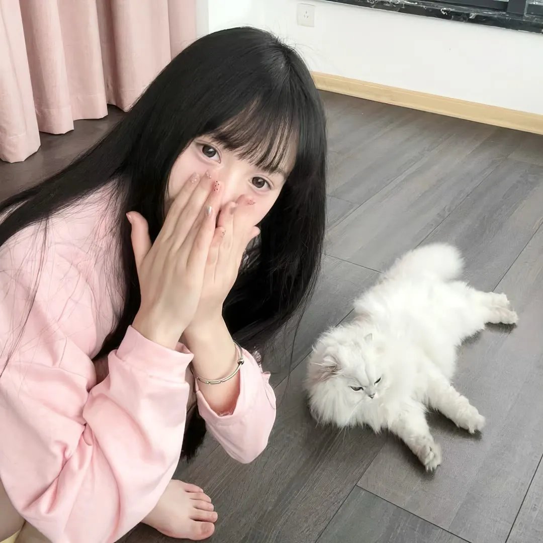 少主且慢行第一季